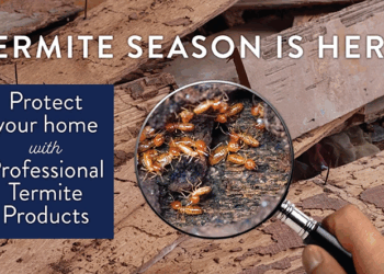 Take Control of Your Home: A Comprehensive Review of DIY Pest Control’s Products and Services